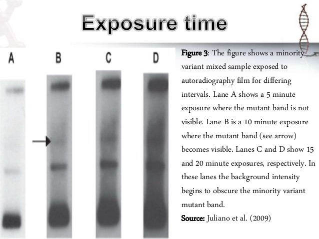 autoradiography 10 638 jpg cb 1510115338 autoradiography
