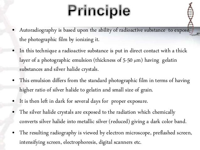 autoradiography 4 638 jpg cb 1510115338 autoradiography