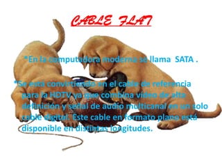CABLE  FLAT     *En la computadora moderna se llama  SATA .*Se está convirtiendo en el cable de referencia para la HDTV ya que combina vídeo de alta definición y señal de audio multicanal en un solo cable digital. Este cable en formato plano está disponible en distintas longitudes.