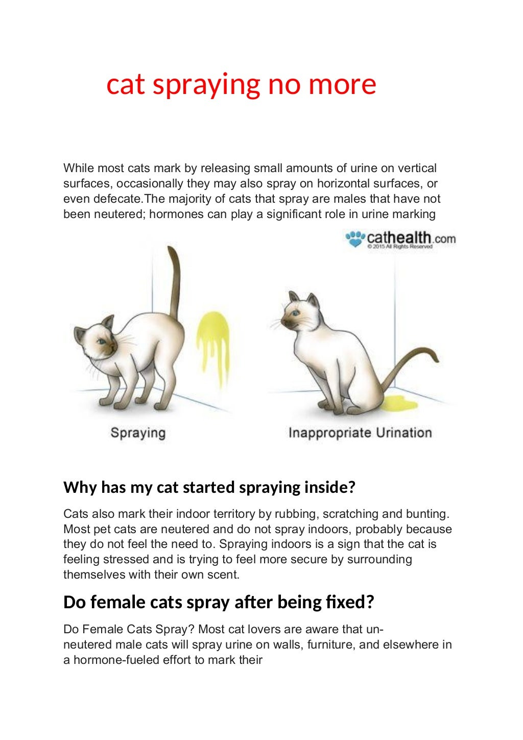 Tips and tricks to get your cat to like their new bed