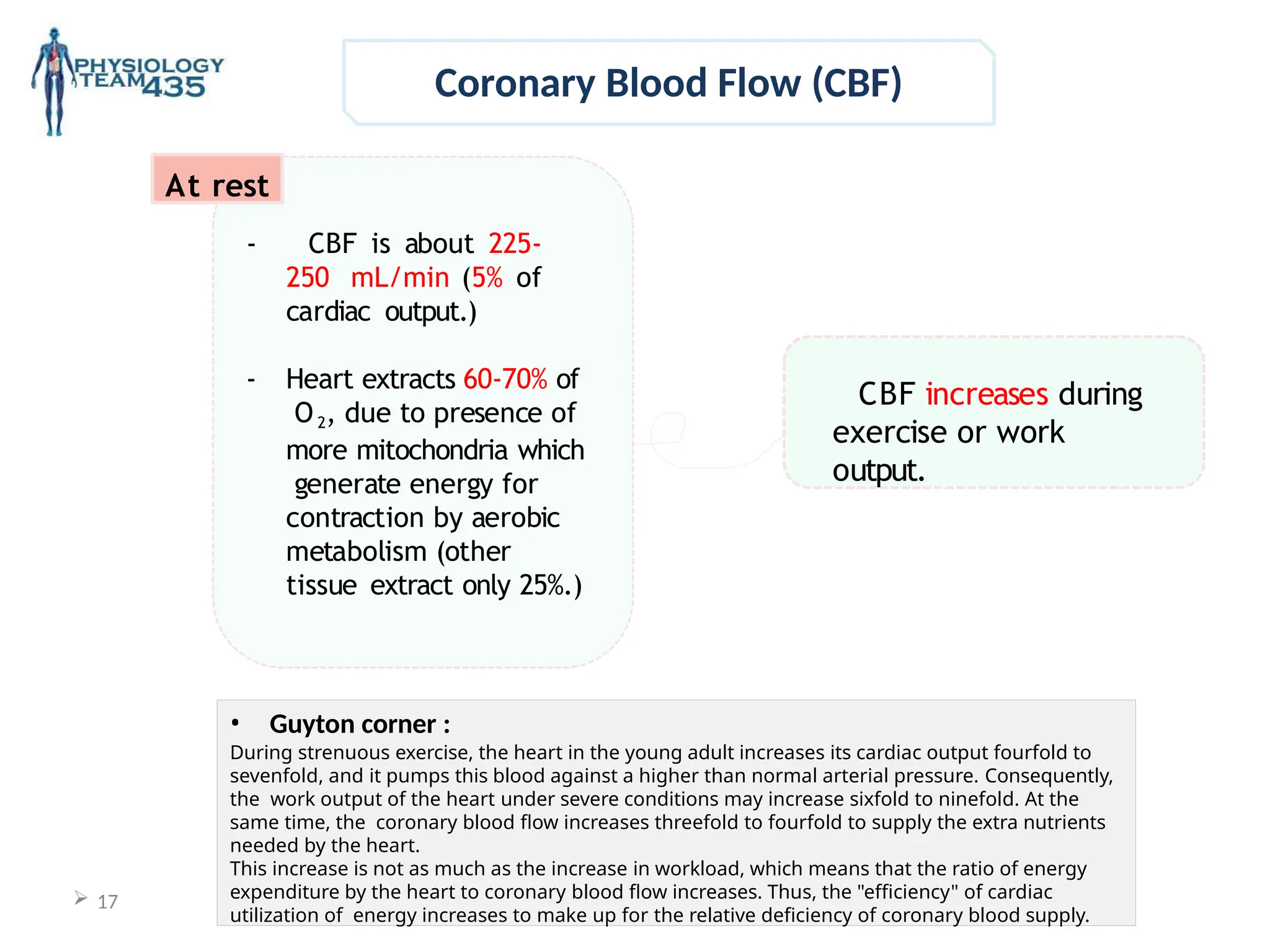AUTO REGULATION OF CORONARY BLOOD FLOW.pptx
