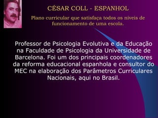 CÉSAR COLL - ESPANHOL Plano curricular que satisfaça todos os níveis de funcionamento de uma escola. Professor de Psicologia Evolutiva e da Educação na Faculdade de Psicologia da Universidade de Barcelona. Foi um dos principais coordenadores da reforma educacional espanhola e consultor do MEC na elaboração dos Parâmetros Curriculares Nacionais, aqui no Brasil. 