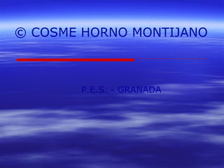 © COSME HORNO MONTIJANO 
P.E.S. - GRANADA 
