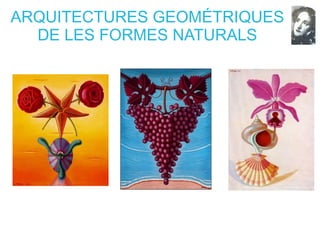 ARQUITECTURES GEOMÉTRIQUES
DE LES FORMES NATURALS
 