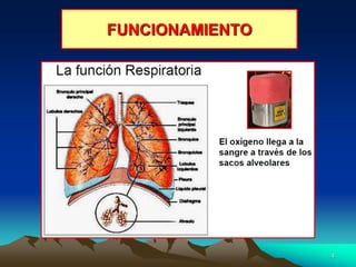 4
FUNCIONAMIENTO
 