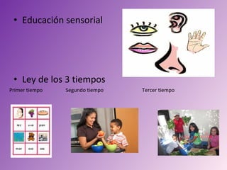 • Educación sensorial




 • Ley de los 3 tiempos
Primer tiempo   Segundo tiempo   Tercer tiempo
 