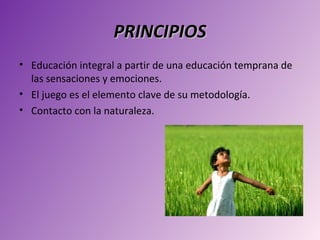 PRINCIPIOS
• Educación integral a partir de una educación temprana de
  las sensaciones y emociones.
• El juego es el elemento clave de su metodología.
• Contacto con la naturaleza.
 