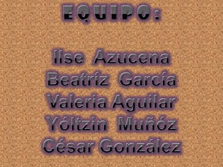 Autores sobre Probabilidad