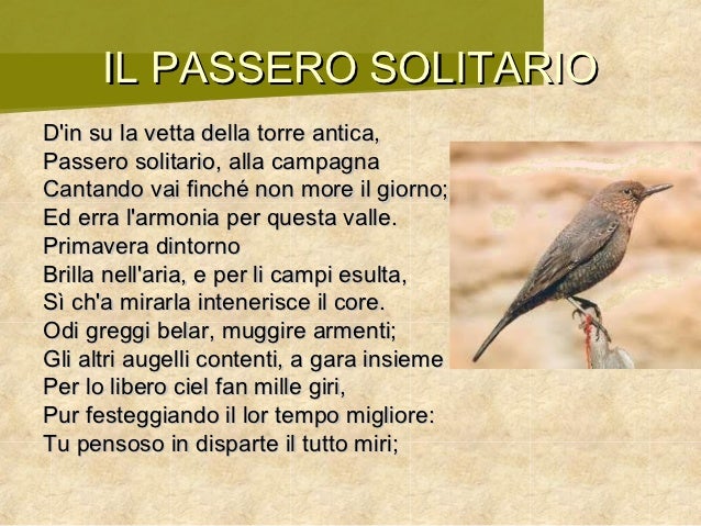 Giacomo Leopardi Poesie Il Passero Solitario Poesie Image