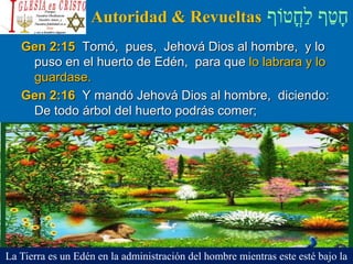 ‫ֳטֹוף‬‫ח‬ַ‫ל‬ ‫ף‬ַ‫ט‬ָ‫ח‬Autoridad & Revueltas
Gen 2:15 Tomó, pues, Jehová Dios al hombre, y lo
puso en el huerto de Edén, para que lo labrara y lo
guardase.
Gen 2:16 Y mandó Jehová Dios al hombre, diciendo:
De todo árbol del huerto podrás comer;
La Tierra es un Edén en la administración del hombre mientras este esté bajo la
 