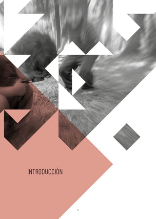 INTRODUCCIÓN
17
 