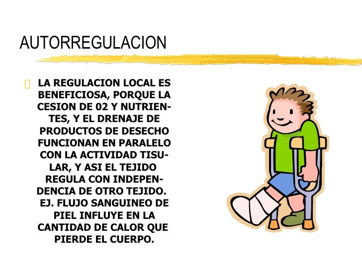 Autorregulacion De Circulacion