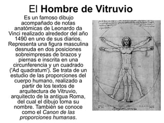 El Hombre de Vitruvio
Es un famoso dibujo
acompañado de notas
anatómicas de Leonardo da
Vinci realizado alrededor del año
1490 en uno de sus diarios.
Representa una figura masculina
desnuda en dos posiciones
sobreimpresas de brazos y
piernas e inscrita en una
circunferencia y un cuadrado
('Ad quadratum'). Se trata de un
estudio de las proporciones del
cuerpo humano, realizado a
partir de los textos de
arquitectura de Vitruvio,
arquitecto de la antigua Roma,
del cual el dibujo toma su
nombre. También se conoce
como el Canon de las
proporciones humanas.
 