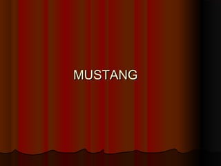 MUSTANG

 