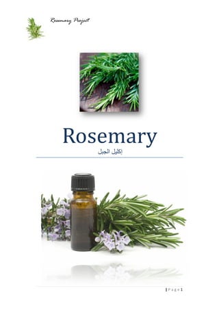 Rosemary Project
1| P a g e
Rosemary
‫ﺍﻟﺠﺒﻞ‬ ‫ﺇﻛﻠﻴﻞ‬
( ‫ﺍﻟﺮﻭﺯﻣﻴﺮﻱ‬ ) ‫ﺍﻟﺠﺒﻞ‬ ‫ﺃﻛﻠﻴﻞ‬Rosemary
 