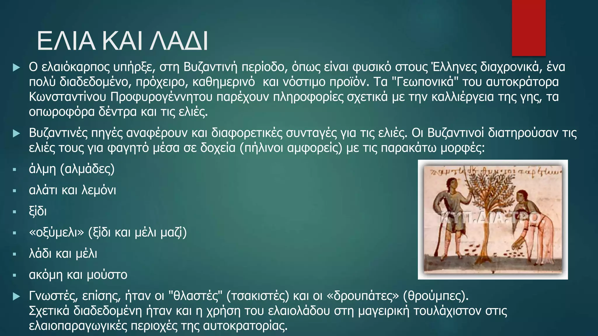 ΕΛΙΑ ΚΑΙ ΛΑΔΙ
 Ο ελαιόκαρπος υπήρξε, στη Βυζαντινή περίοδο, όπως είναι φυσικό στους Έλληνες διαχρονικά, ένα
πολύ διαδεδομένο, πρόχειρο, καθημερινό και νόστιμο προϊόν. Τα "Γεωπονικά" του αυτοκράτορα
Κωνσταντίνου Προφυρογέννητου παρέχουν πληροφορίες σχετικά με την καλλιέργεια της γης, τα
οπωροφόρα δέντρα και τις ελιές.
 Βυζαντινές πηγές αναφέρουν και διαφορετικές συνταγές για τις ελιές. Οι Βυζαντινοί διατηρούσαν τις
ελιές τους για φαγητό μέσα σε δοχεία (πήλινοι αμφορείς) με τις παρακάτω μορφές:
 άλμη (αλμάδες)
 αλάτι και λεμόνι
 ξίδι
 «οξύμελι» (ξίδι και μέλι μαζί)
 λάδι και μέλι
 ακόμη και μούστο
 Γνωστές, επίσης, ήταν οι "θλαστές" (τσακιστές) και οι «δρουπάτες» (θρούμπες).
Σχετικά διαδεδομένη ήταν και η χρήση του ελαιολάδου στη μαγειρική τουλάχιστον στις
ελαιοπαραγωγικές περιοχές της αυτοκρατορίας.
 