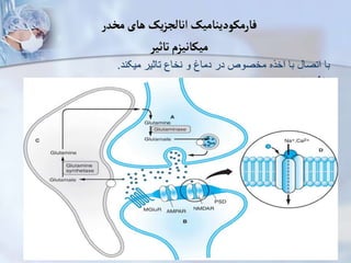 ‫مخدر‬‫های‬ ‫یک‬‫ز‬‫انالج‬‫فارمکودینامیک‬
‫تاثیر‬ ‫میکانیزم‬
‫میکند‬ ‫تاثیر‬ ‫نخاع‬ ‫و‬ ‫دماغ‬ ‫در‬ ‫مخصوص‬ ‫اخره‬ ‫با‬ ‫اتصا‬ ‫با‬
.
‫اوپیوئیدی‬ ‫های‬ ‫اخذه‬
µ
,
K
‫و‬
‫دیتا‬
‫حجروی‬ ‫سطح‬ ‫به‬ ‫های‬ ‫اوپیوئید‬ ‫تاثیرات‬
:

‫میکند‬ ‫بالک‬ ‫ساینپسی‬ ‫پیش‬ ‫در‬ ‫را‬ ‫کلسیم‬ ‫ویتاژ‬ ‫وابسته‬ ‫های‬ ‫چاین‬
.

‫د‬ ‫سا‬ ‫می‬ ‫ه‬ ‫پوالری‬ ‫هایپر‬ ‫ساینپسی‬ ‫پس‬ ‫های‬ ‫نیورون‬
.
‫چیاین‬ ‫نتیجه‬ ‫در‬
‫های‬
‫میگردد‬ ‫با‬ ‫یم‬ ‫پتا‬
.
 