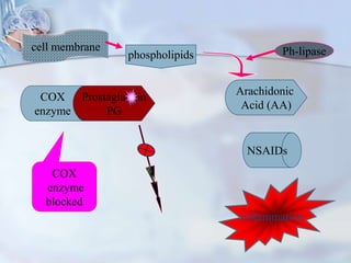 COX
enzyme
NSAIDs
Arachidonic
Acid (AA)
Prostaglandin
PG
Arachidonic
Acid (AA)
COX
enzyme
blocked
inflammation
cell membrane
phospholipids Ph-lipase
 