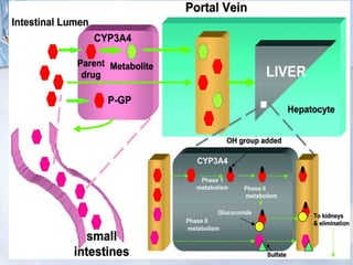 -
‫فا‬ ‫های‬ ‫ایعم‬ ‫کس‬
II
‫کبدی‬
:
‫ن‬ ‫کانجوگی‬
-
‫اسید‬ ‫سلفوریک‬ ‫با‬ ‫اتحاد‬
(
‫پنسلین‬ ‫ای‬ ‫بن‬
)
-
‫اسید‬ ‫اسیتیک‬ ‫با‬ ‫اتحاد‬
(
‫ها‬ ‫سلفامید‬
Sulfathiazol
)
-
‫اسید‬ ‫گلوکورونیک‬ ‫اتحادبا‬
(
‫مورفین‬
)
 