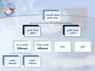 ‫اناتومی‬ ‫تصنی‬
‫ک‬
‫وصبی‬ ‫سیست‬
‫وصبی‬ ‫سیست‬
‫محیطی‬
‫مرسله‬ ‫اوصاب‬
Efferent
‫اوصاب‬
‫اتونومیک‬
‫اوصاب‬
‫سوماتیک‬
‫موصله‬ ‫اوصاب‬
Afferent
‫وصبی‬ ‫سیست‬
‫مرکزی‬
‫دماغ‬ ‫نخاع‬
 