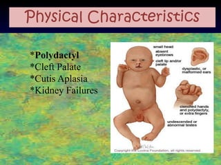 Physical Characteristics

*Polydactyl
*Cleft Palate
*Cutis Aplasia
*Kidney Failures
 