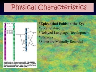 Physical Characteristics

        *Epicanthal Folds in the Eye
        *Short Stature
        *Delayed Language Development
        *Seizures
        *Some are Mentally Retarded
 
