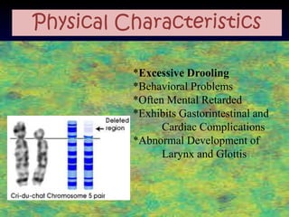 Physical Characteristics

          *Excessive Drooling
          *Behavioral Problems
          *Often Mental Retarded
          *Exhibits Gastorintestinal and
                Cardiac Complications
          *Abnormal Development of
                Larynx and Glottis
 