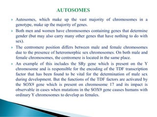 Comprehensive Overview of Autosomal and Sex Chromosome Inheritance in ...