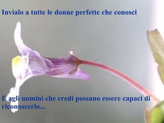 Invialo a tutte le donne perfette che conosci E agli uomini che credi possano essere capaci di riconoscerlo... 