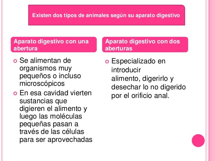 Nutricion Autotrofa Y Heterotrofa