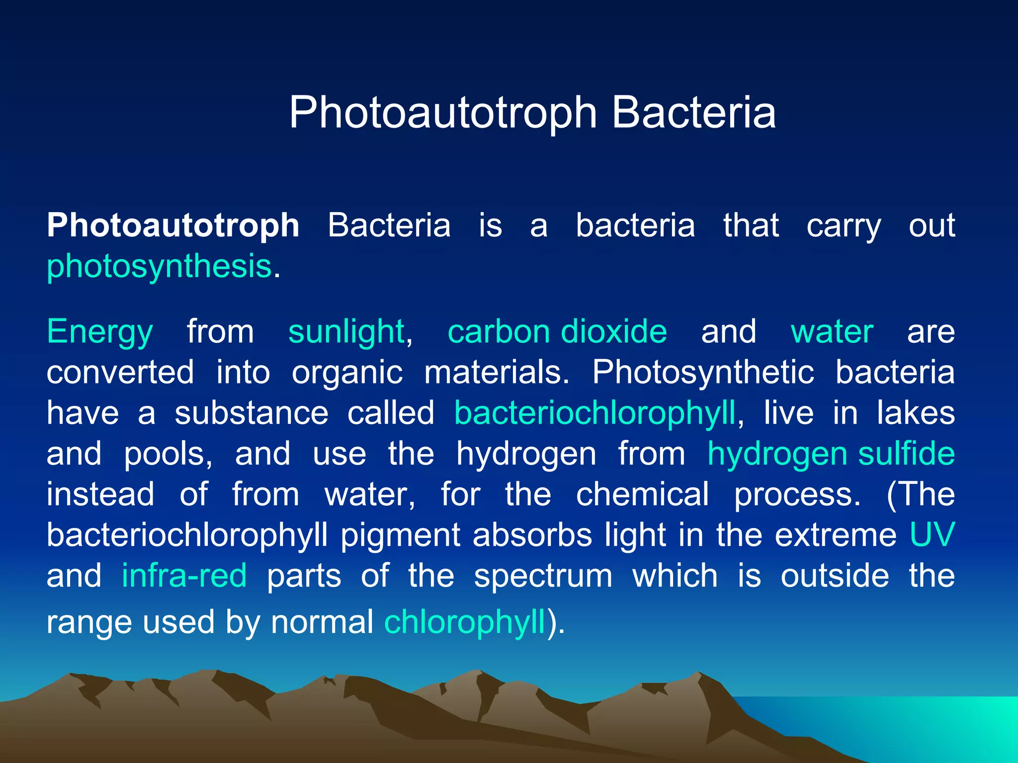 Paramecium'S Secret Diet: Autotroph Or Heterotroph? - x7cfxnz
