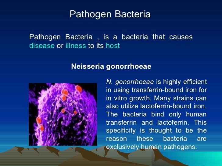 Autotroph & heterotroph bacteria
