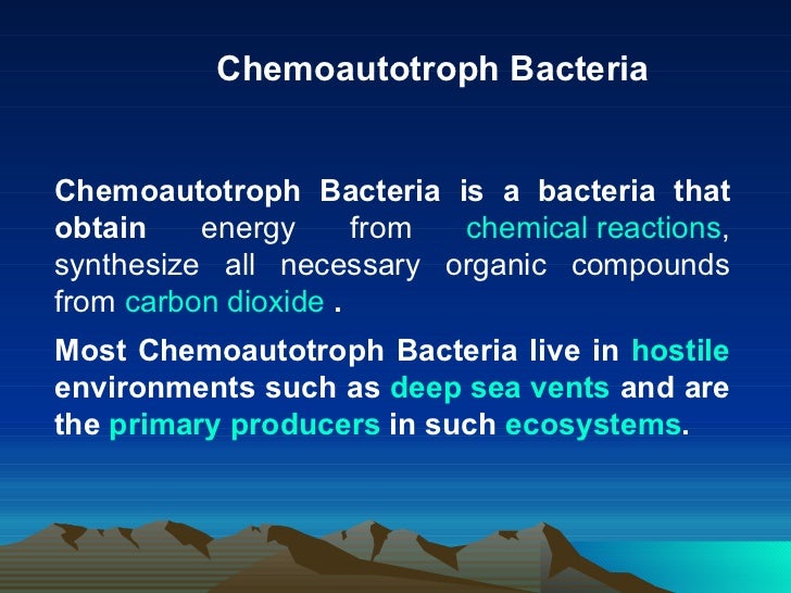 Chemoheterotroph Definition : Chemoautotroph Definition and Examples – DJZL