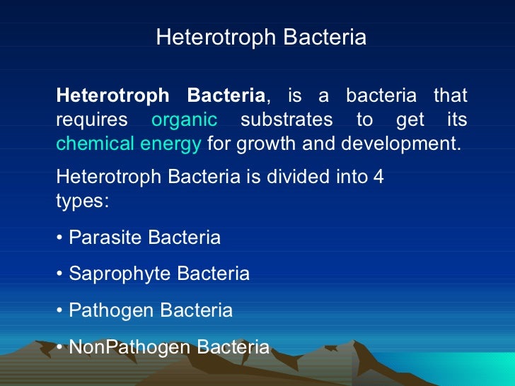 Eubacteria S Secret Diet Autotroph Or Heterotroph - d0xiyaf