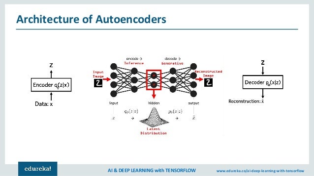 Autoencoders Tutorial | Autoencoders In Deep Learning | Tensorflow Tr…