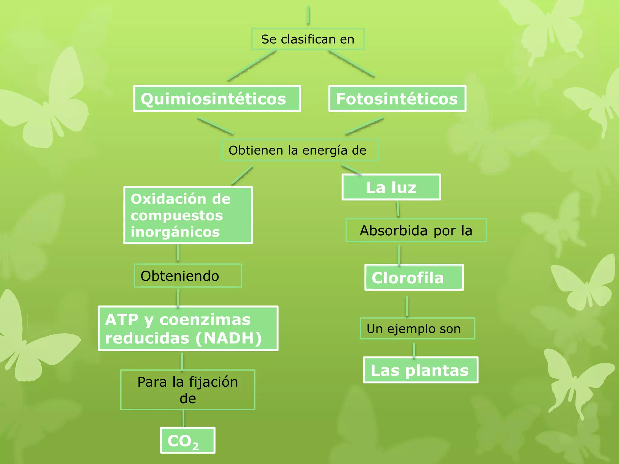 Las plantas
Un ejemplo son
Clorofila
Absorbida por la
La luz
Obtienen la energía de
ATP y coenzimas
reducidas (NADH)
Obteniendo
Oxidación de
compuestos
inorgánicos
FotosintéticosQuimiosintéticos
Se clasifican en
Para la fijación
de
CO2
 