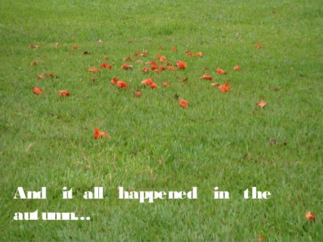 And it all happened in the
autumn…
 