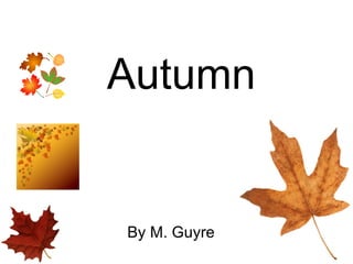 Autumn By M. Guyre 