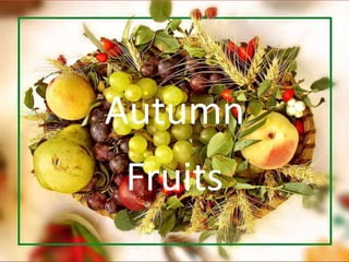 Autumn
Fruits

 