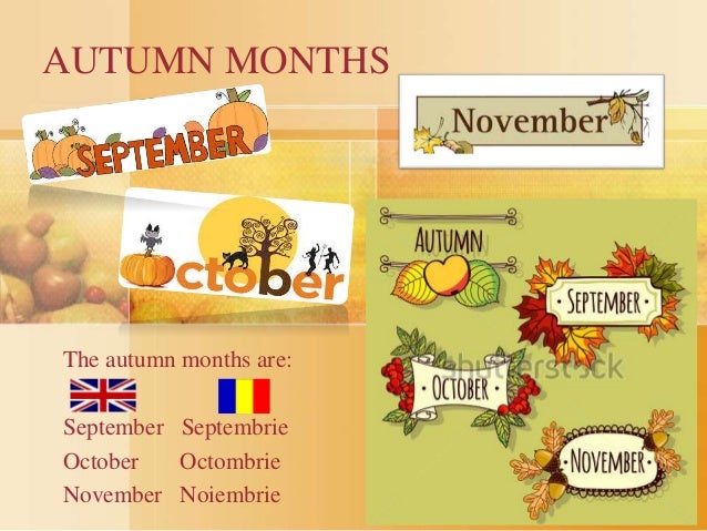 autumn