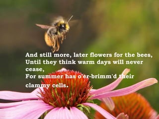 And still more, later flowers for the bees,
Until they think warm days will never
cease,
For summer has o'er-brimm'd their
clammy cells.
 