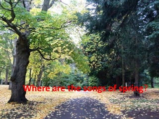 Where are the songs of spring?
 