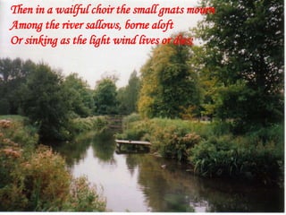 Then in a wailful choir the small gnats mourn
Among the river sallows, borne aloft
Or sinking as the light wind lives or dies;
 