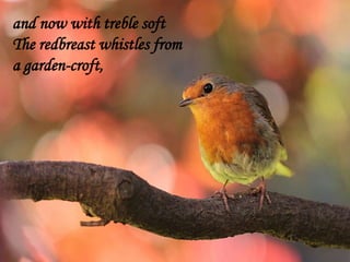 and now with treble soft
The redbreast whistles from
a garden-croft,
 