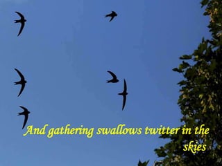 And gathering swallows twitter in the
skies.
 