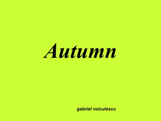 Autumn gabriel voiculescu 