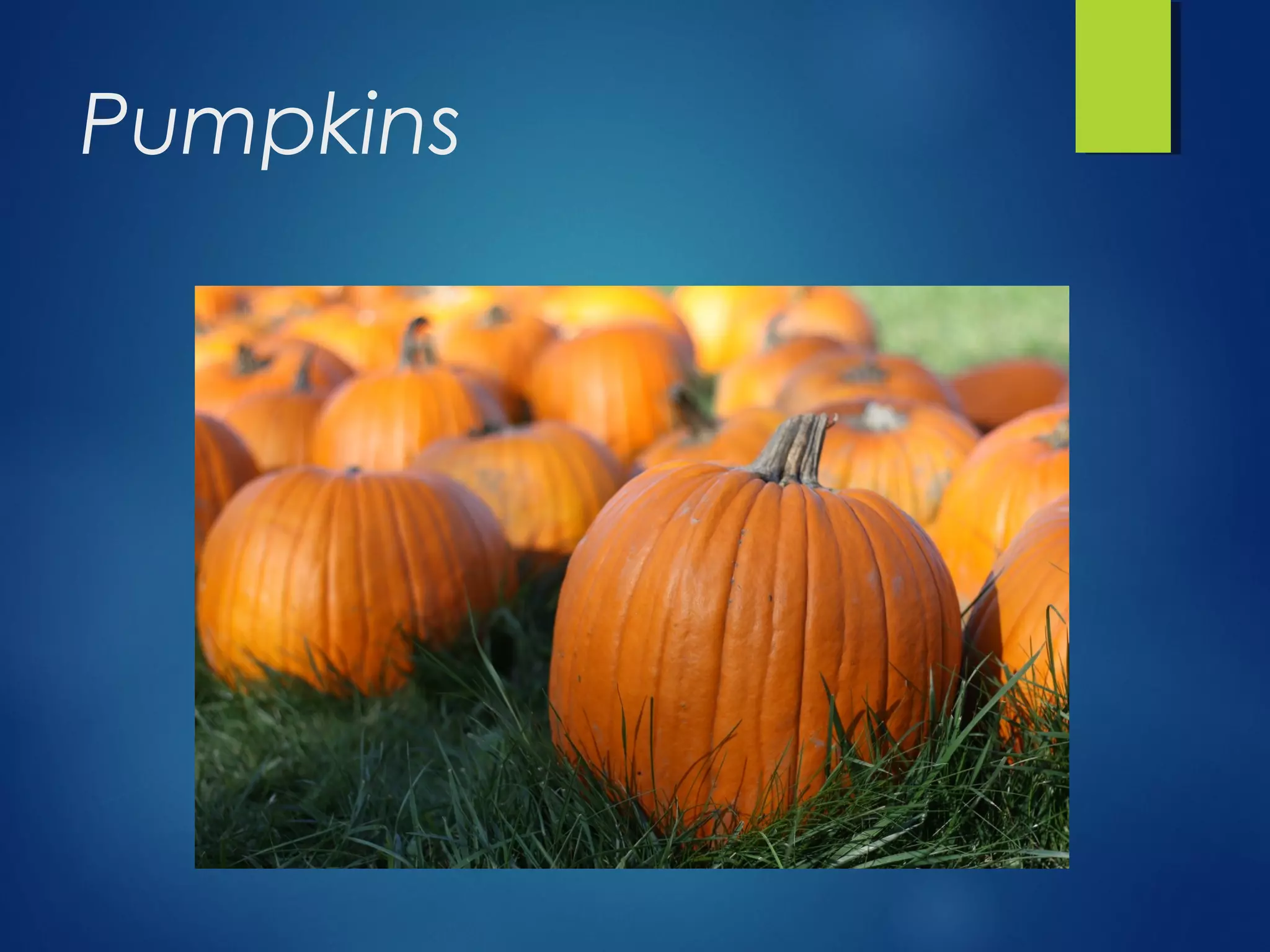 Autumn Vocabulary PPT autumn-vocabulary-ppt
