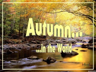 Autumn All Over The World