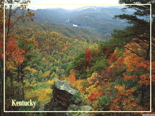 Kentucky 