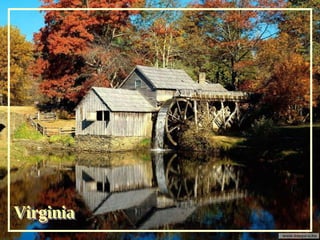 Virginia 